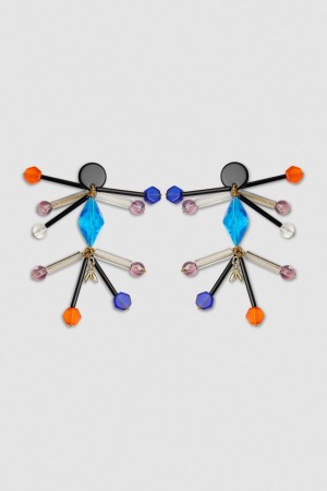 Patrizia Pepe Earrings With Techno Pop Fly Appliqué Gekleurd | 8263ALWGB