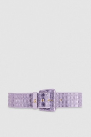 Patrizia Pepe High-waisted Belt With Rhinestones Roze | 9784PJQAV