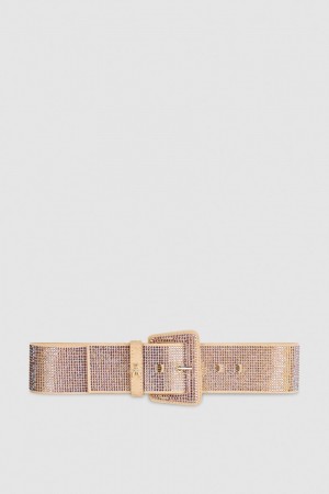 Patrizia Pepe High-waisted Belt With Rhinestones Roze | 2814YVXTP