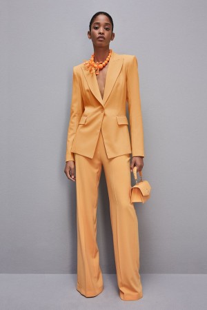 Patrizia Pepe One-button Jacket In Sablè Crepe Fabric Oranje | 1263EUQXG